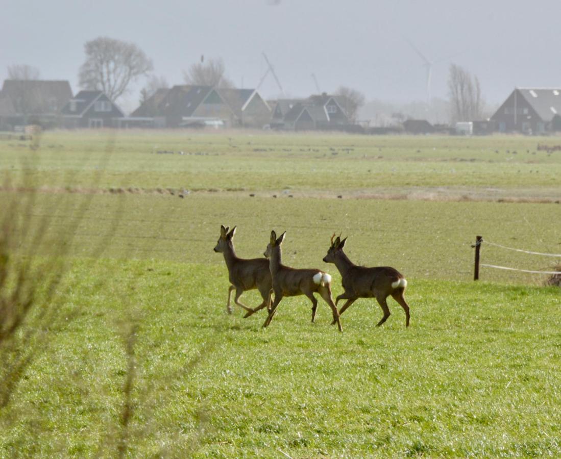 Het Melkhuis Op Prachtig Landgoed Koepeltjesplaats Gaast Dış mekan fotoğraf