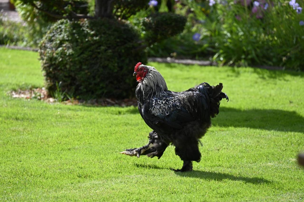 Het Melkhuis Op Prachtig Landgoed Koepeltjesplaats Gaast Dış mekan fotoğraf