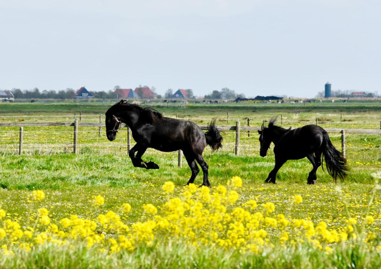 Het Melkhuis Op Prachtig Landgoed Koepeltjesplaats Gaast Dış mekan fotoğraf